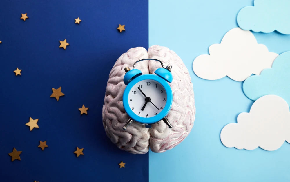 Circadian rhythms; What are they and How do They Affect Your Sleep?