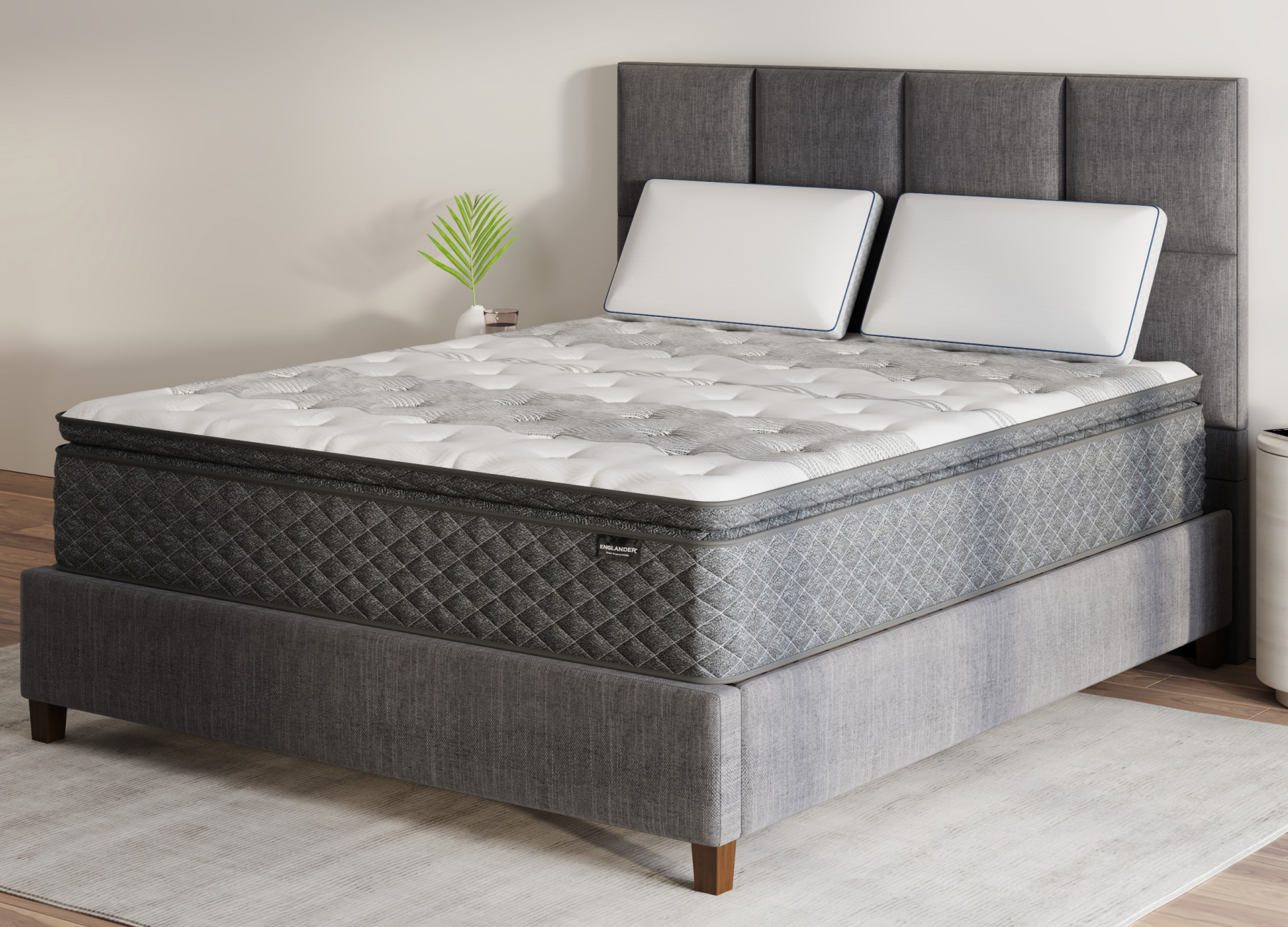 Medium plush store queen mattress