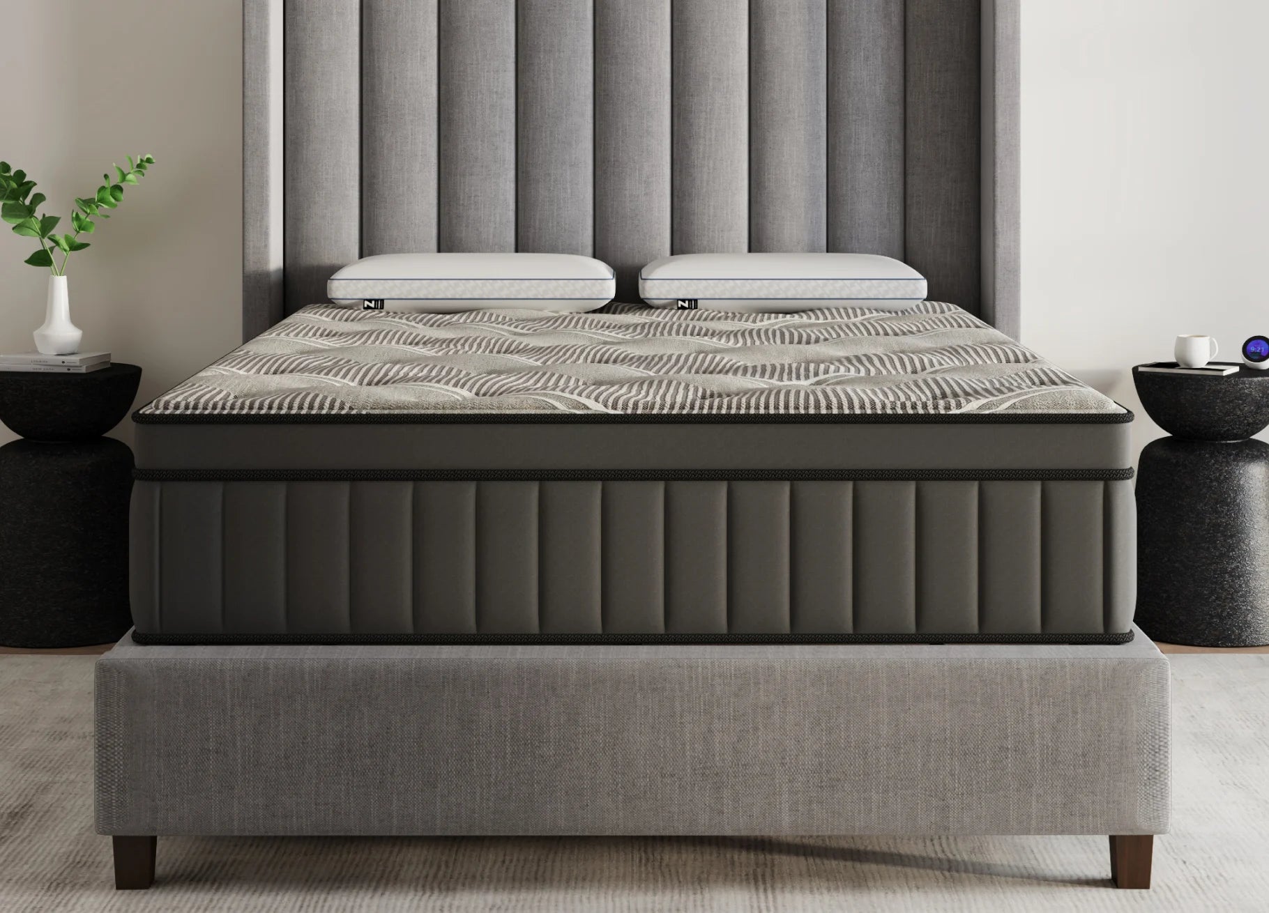Churchill | Medium-Plush