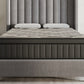 Churchill | Medium-Plush