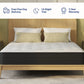 A bed with a white quilted mattress and a black side panel, set against a light wood headboard and frame. The bed is styled with two beige pillows and is flanked by matching bedside tables with lamps.